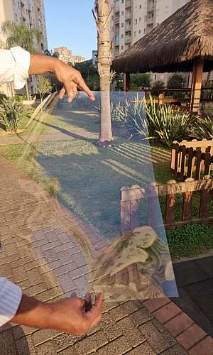 chapa pet transparente chapa pet transparente