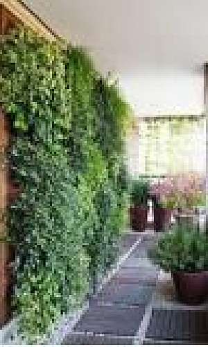 impermeabilização jardineira impermeabilização jardineira